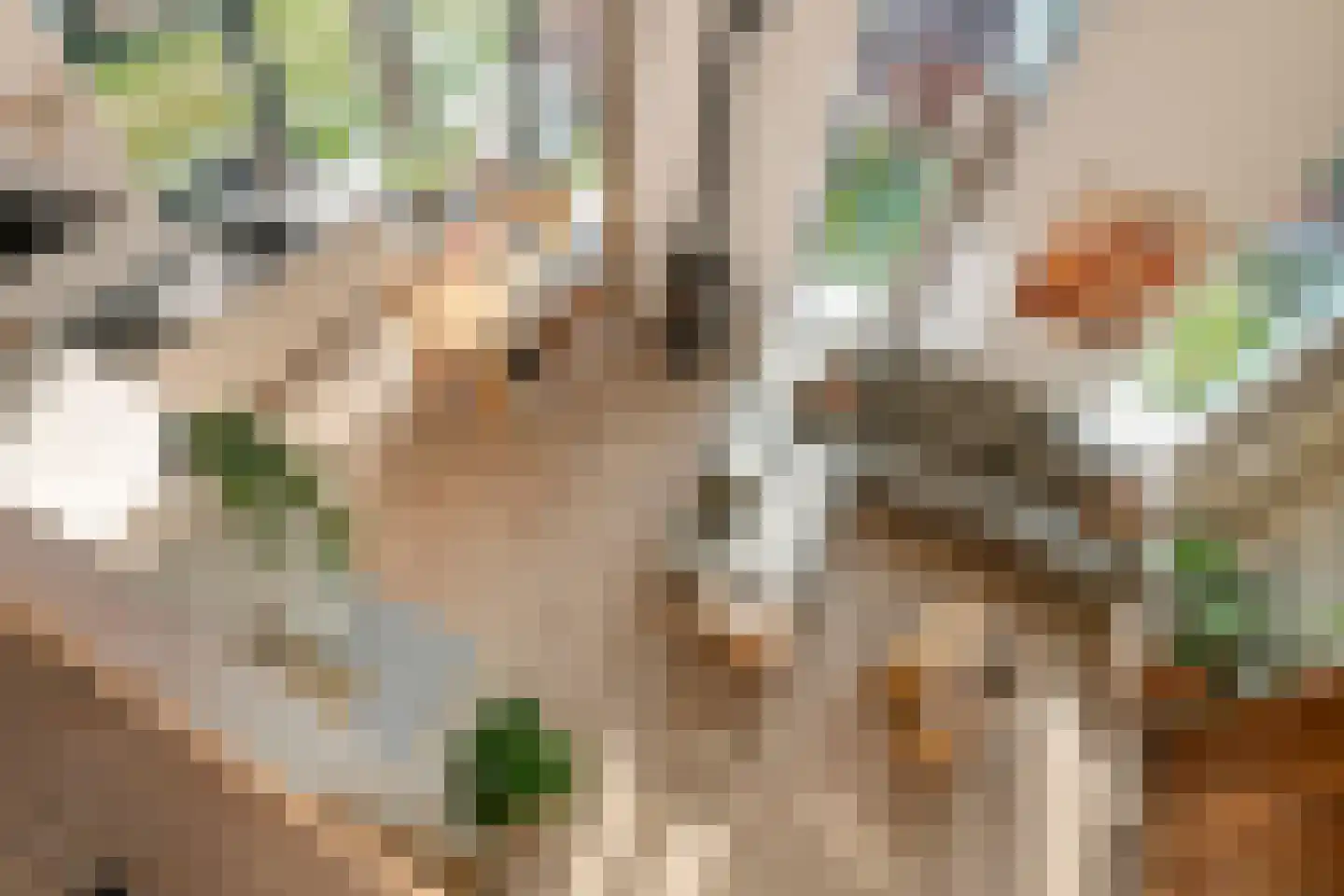 Walgtsestraat 20 a Varik thumbnail 5