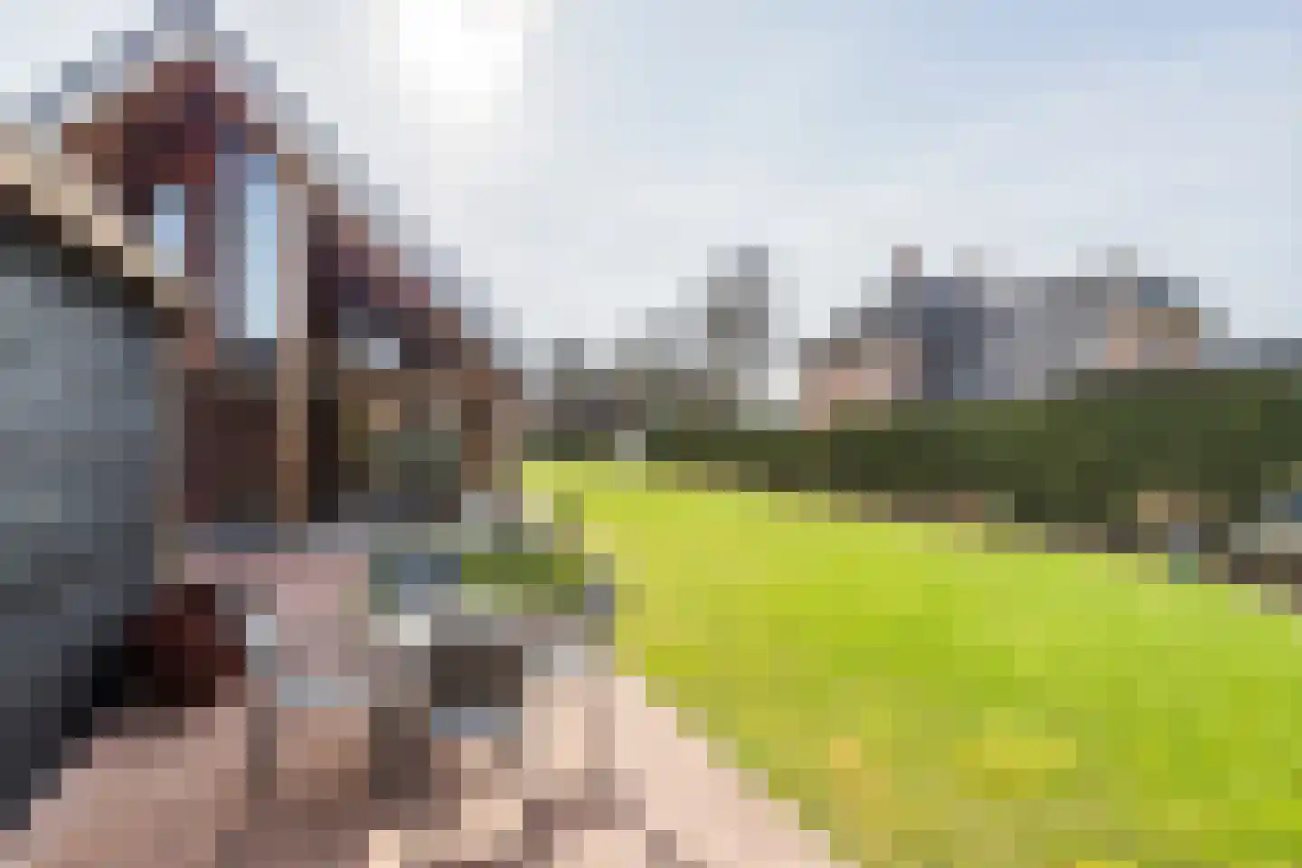 Walgtsestraat 20 a Varik thumbnail 51