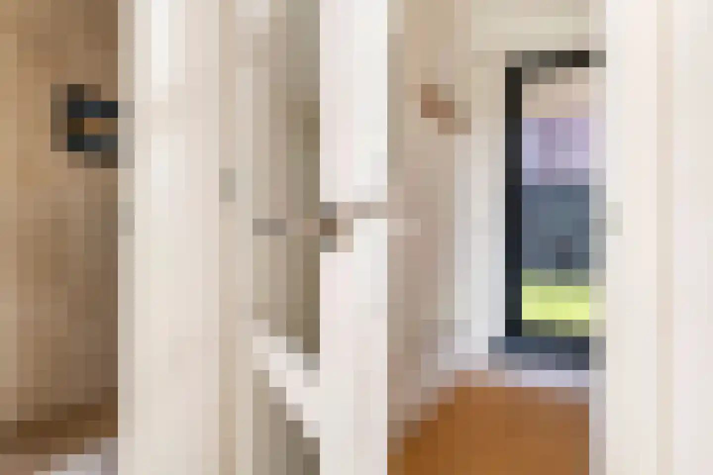 Walgtsestraat 20 a Varik thumbnail 57