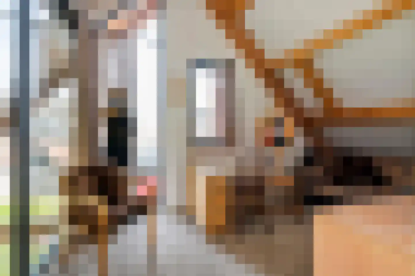 Walgtsestraat 20 a Varik thumbnail 62