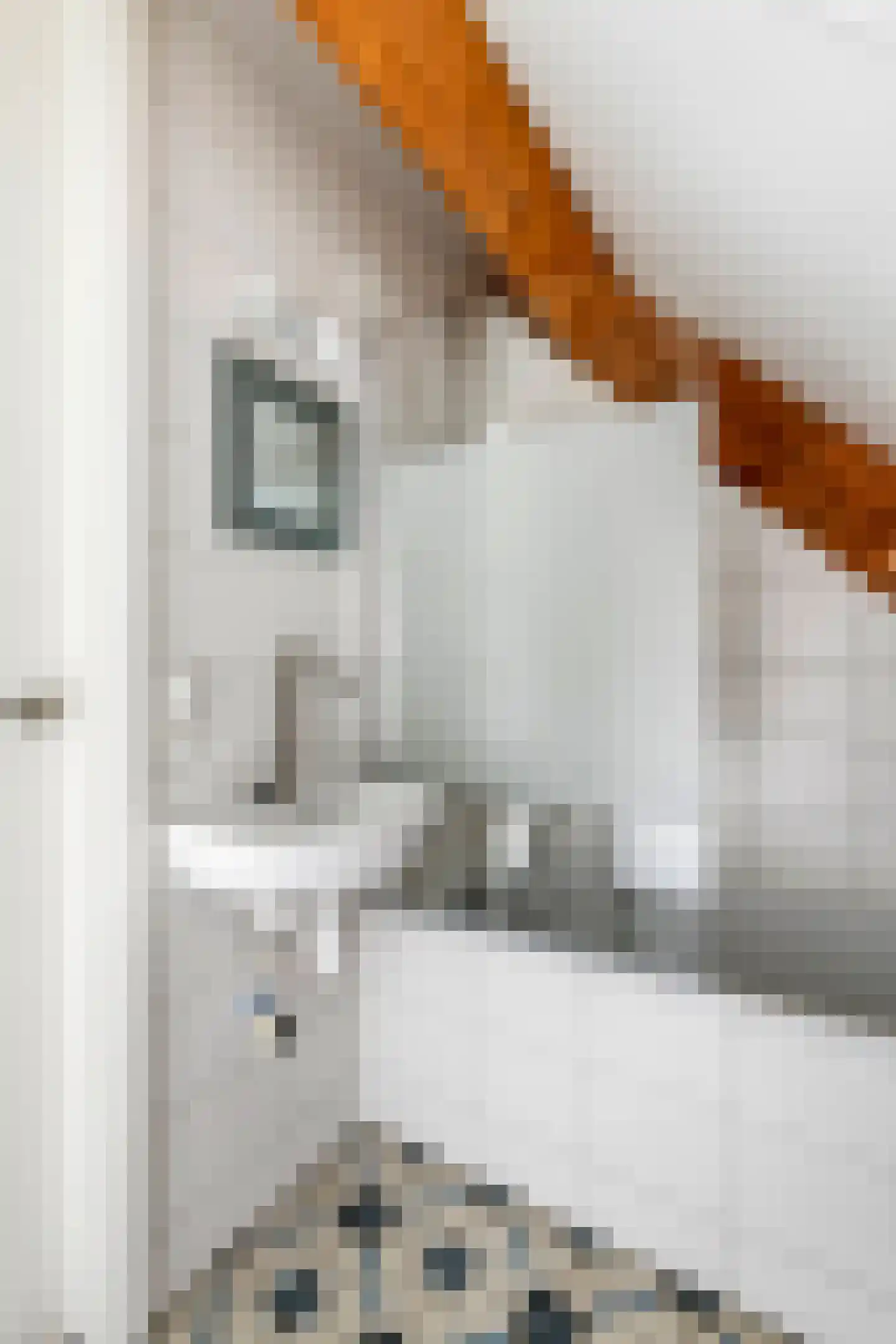 Walgtsestraat 20 a Varik thumbnail 66