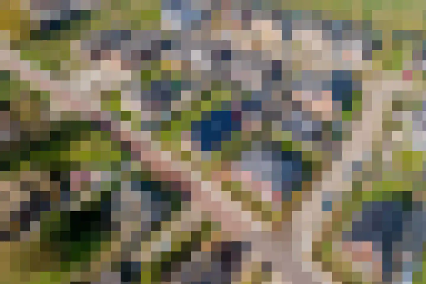 Walgtsestraat 20 a Varik thumbnail 67
