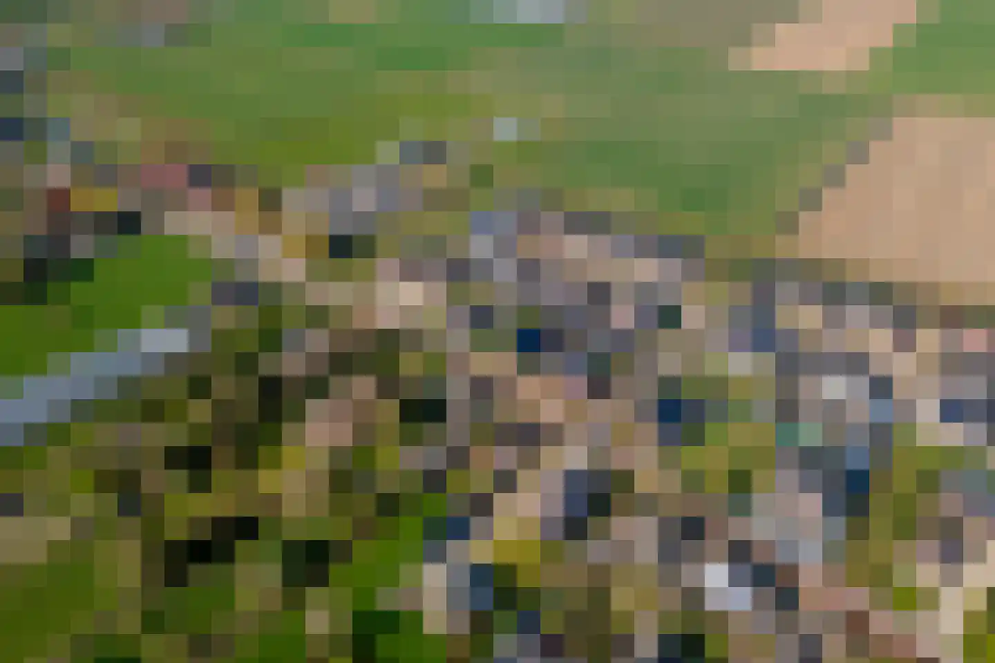 Walgtsestraat 20 a Varik thumbnail 68