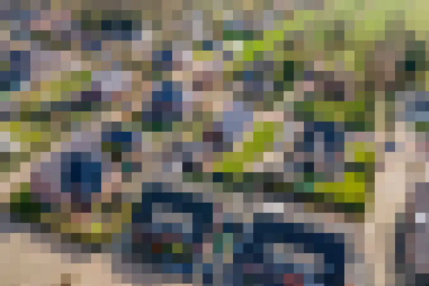 Walgtsestraat 20 a Varik thumbnail 71