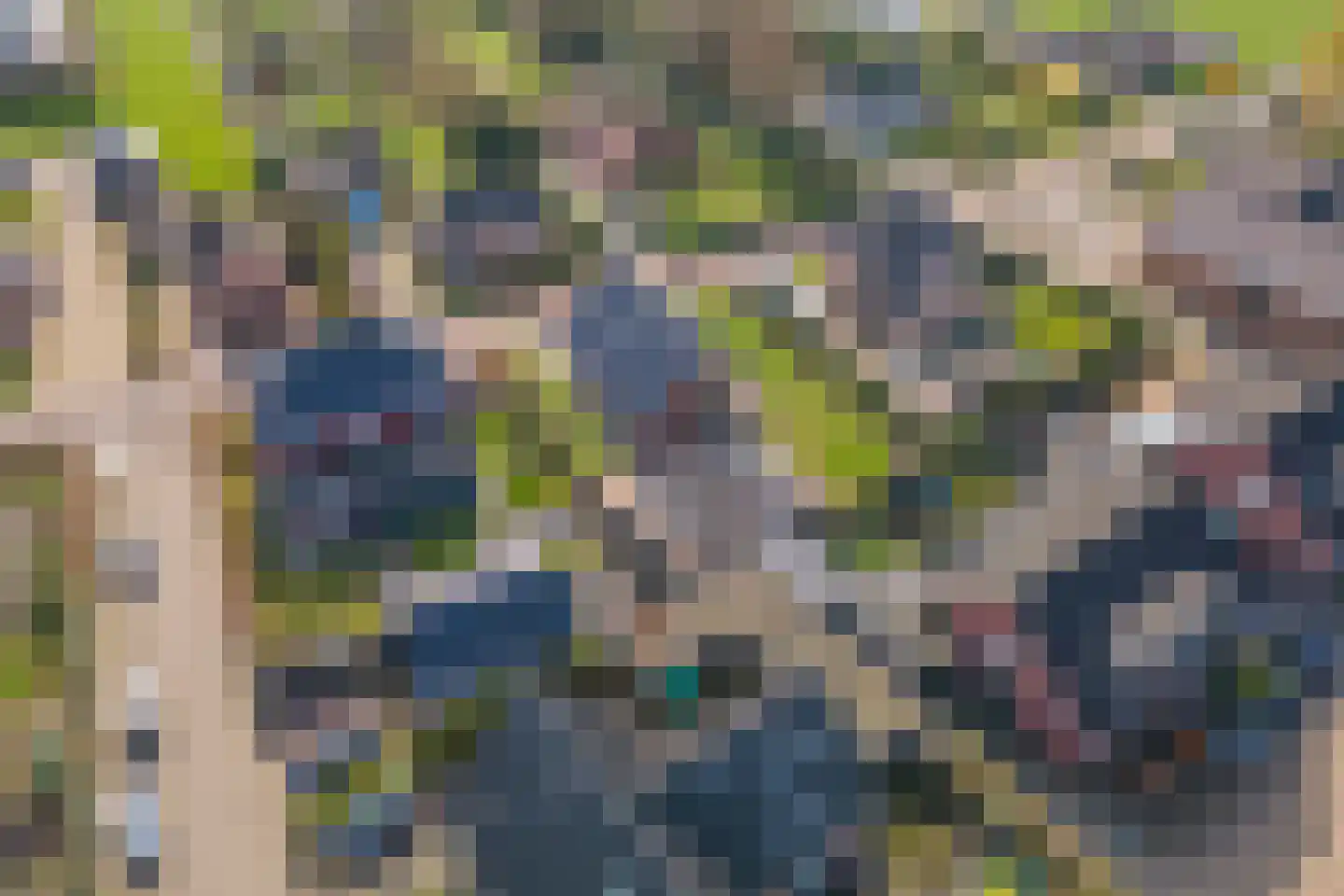 Walgtsestraat 20 a Varik thumbnail 72
