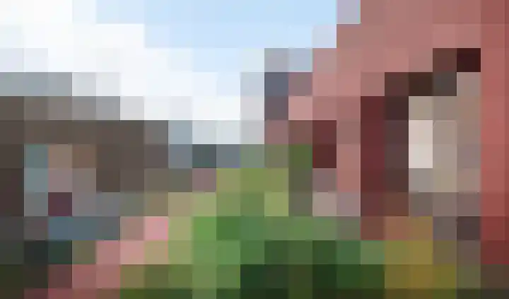 Walgtsestraat 38 Varik