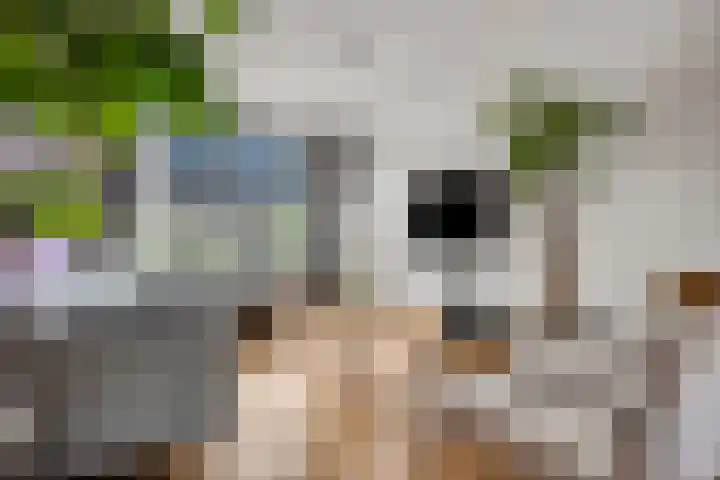 Walgtsestraat 38 Varik thumbnail 11