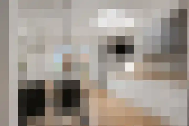 Walgtsestraat 38 Varik thumbnail 14