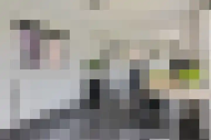 Walgtsestraat 38 Varik thumbnail 18