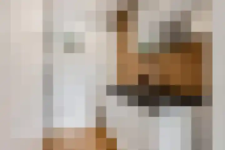Walgtsestraat 38 Varik thumbnail 19