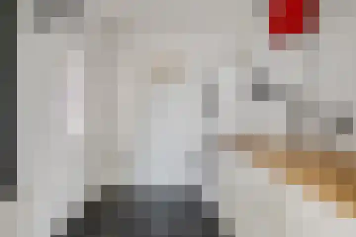 Walgtsestraat 38 Varik thumbnail 20