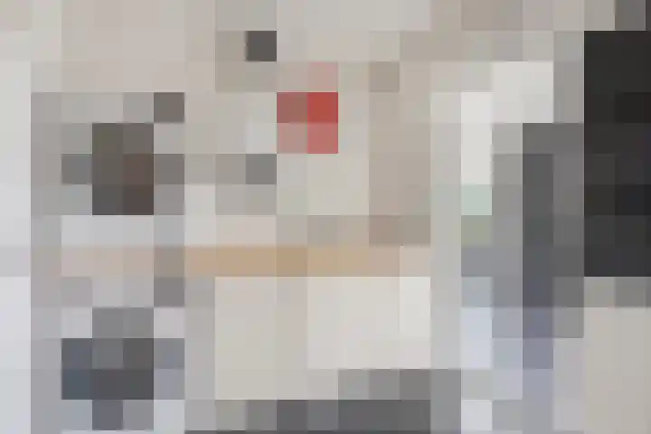Walgtsestraat 38 Varik thumbnail 21