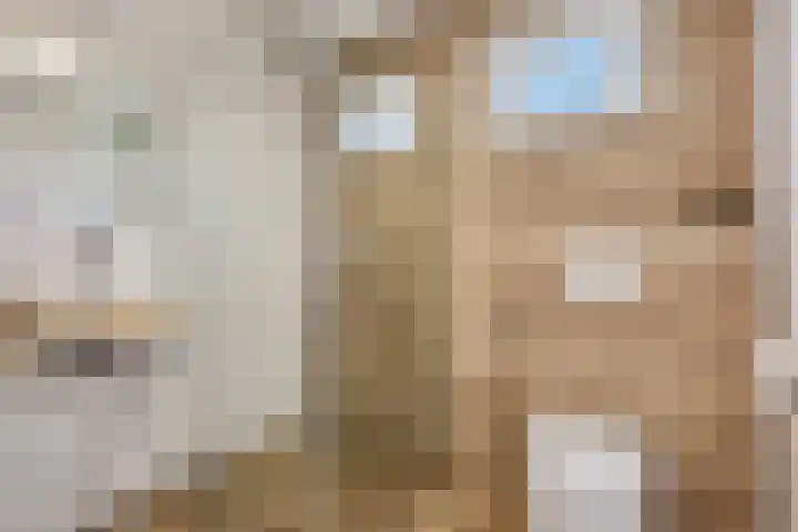 Walgtsestraat 38 Varik thumbnail 22