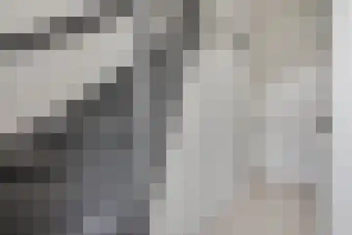 Walgtsestraat 38 Varik thumbnail 26