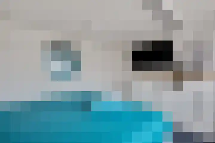 Walgtsestraat 38 Varik thumbnail 30