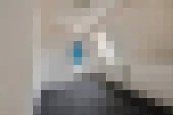 Walgtsestraat 38 Varik thumbnail 31