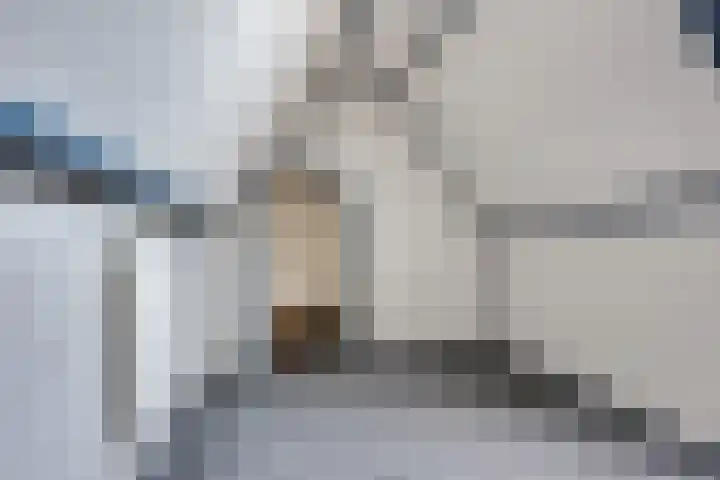 Walgtsestraat 38 Varik thumbnail 35