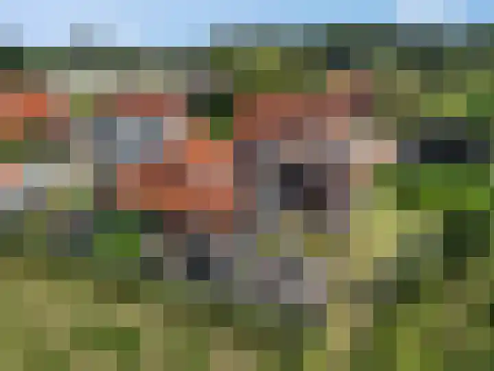Walgtsestraat 38 Varik thumbnail 37