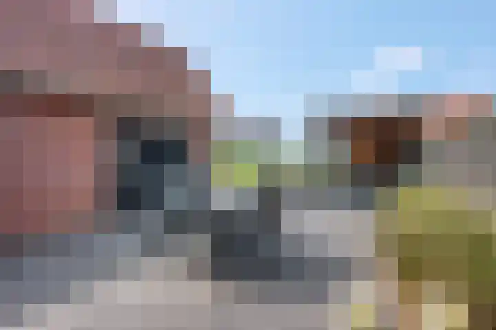 Walgtsestraat 38 Varik thumbnail 39