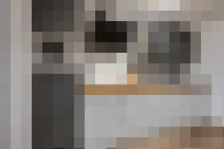 Walgtsestraat 38 Varik thumbnail 4