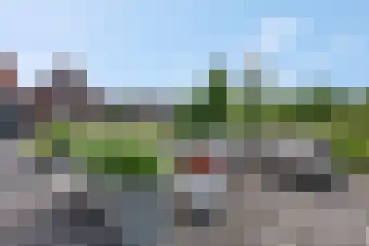 Walgtsestraat 38 Varik thumbnail 40