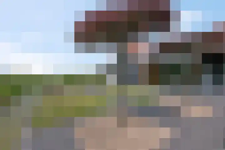 Walgtsestraat 38 Varik thumbnail 41