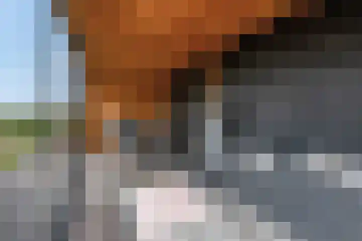Walgtsestraat 38 Varik thumbnail 42