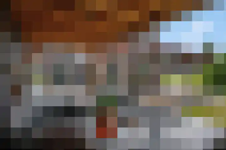Walgtsestraat 38 Varik thumbnail 43