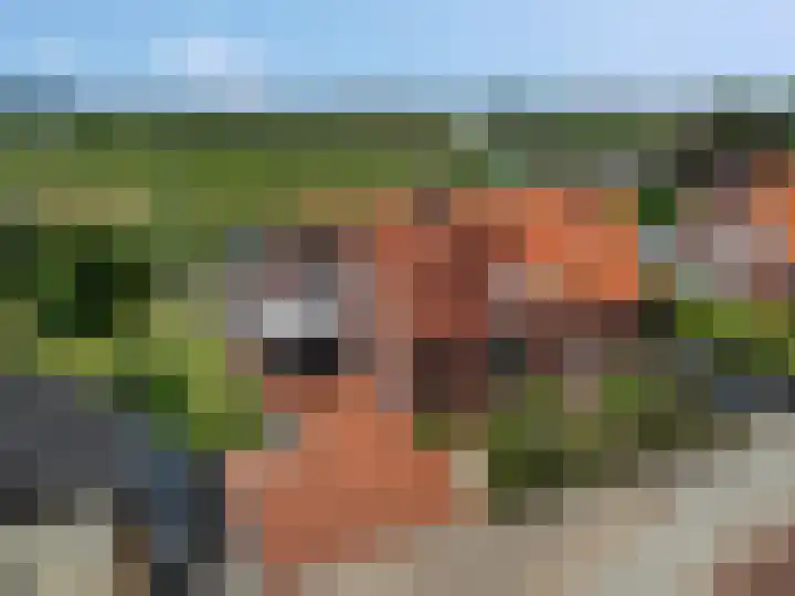 Walgtsestraat 38 Varik thumbnail 7