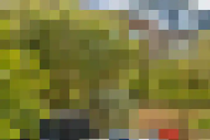 Walhallalaan 10 Rotterdam thumbnail 11