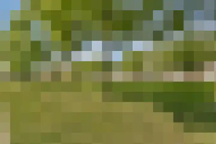 Walhallalaan 10 Rotterdam thumbnail 29