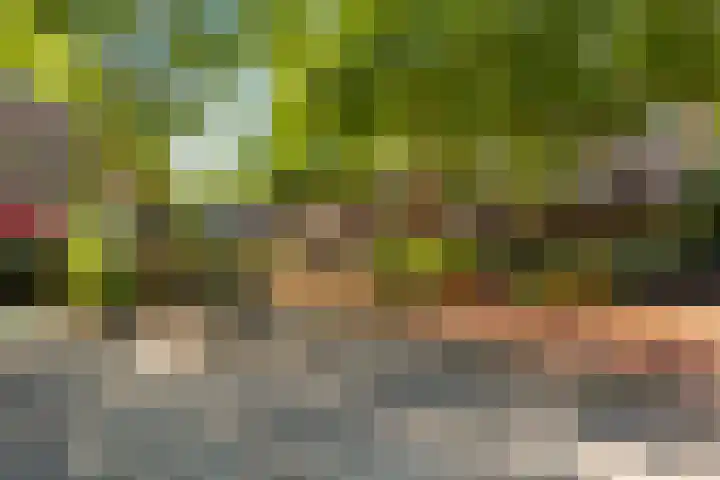 Walhallalaan 10 Rotterdam thumbnail 32