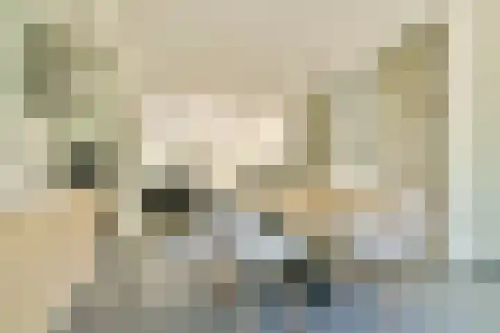 Walhallalaan 10 Rotterdam thumbnail 7