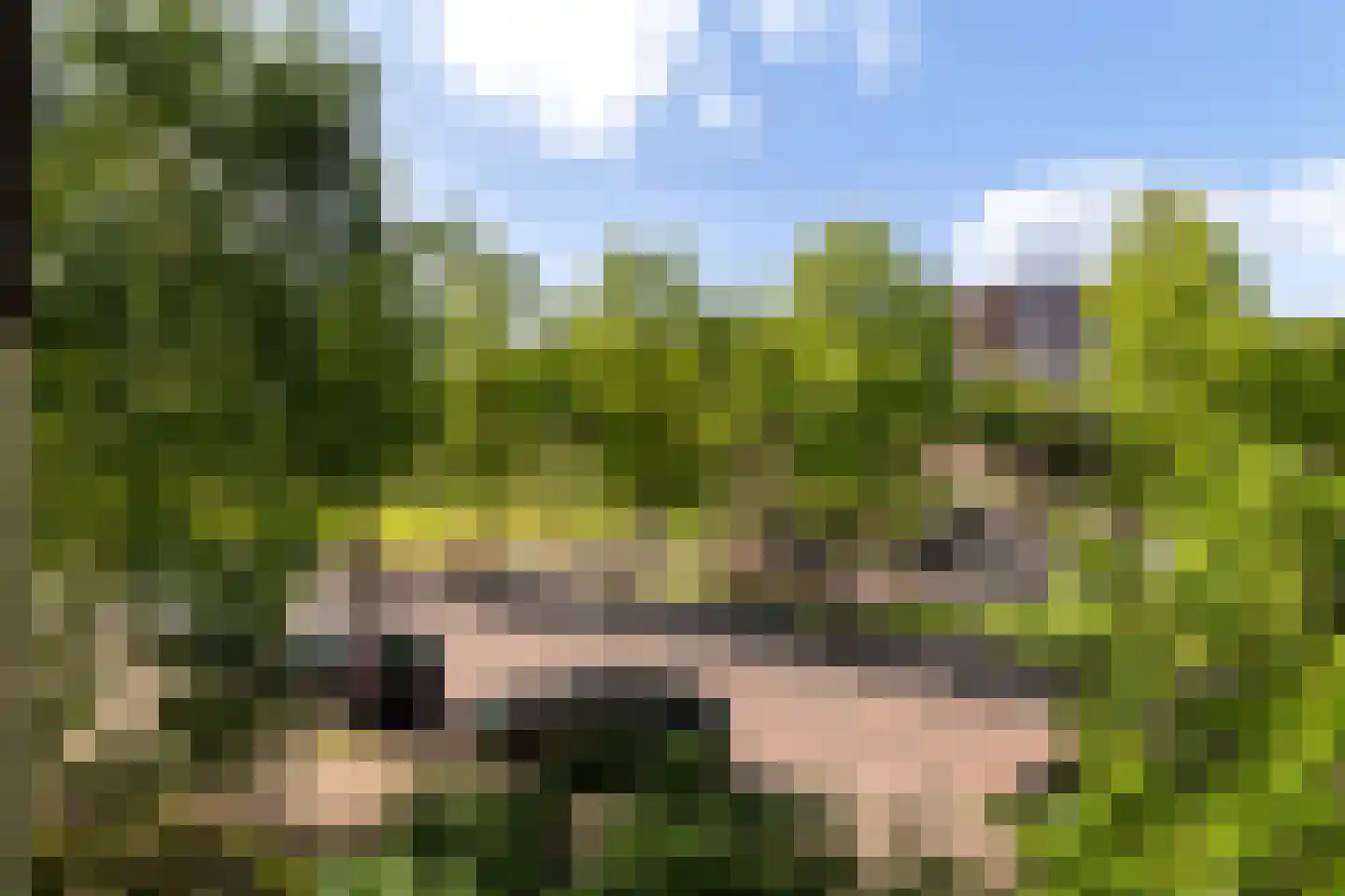 Walhallalaan 44 Rotterdam thumbnail 8