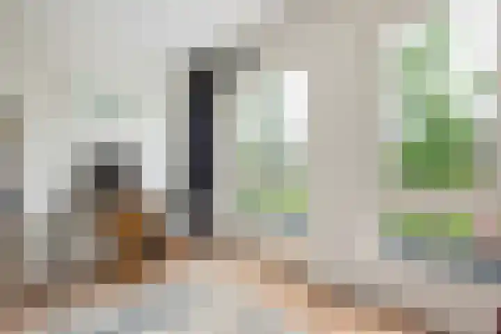 Walhallalaan 68 Rotterdam thumbnail 17