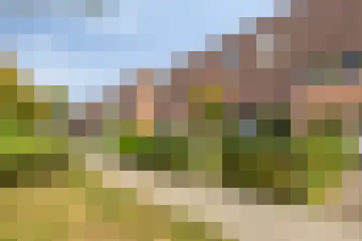 Walhoven 62 Zevenbergen thumbnail 31