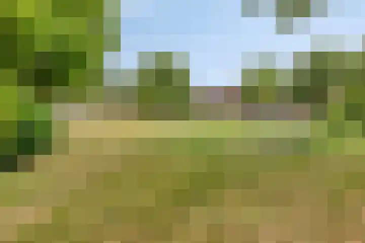 Walhoven 62 Zevenbergen thumbnail 33
