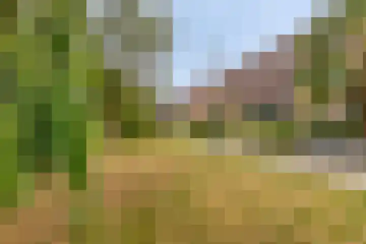Walhoven 62 Zevenbergen thumbnail 4