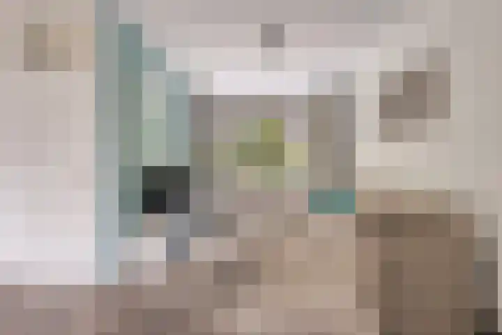 Walhoven 62 Zevenbergen thumbnail 7