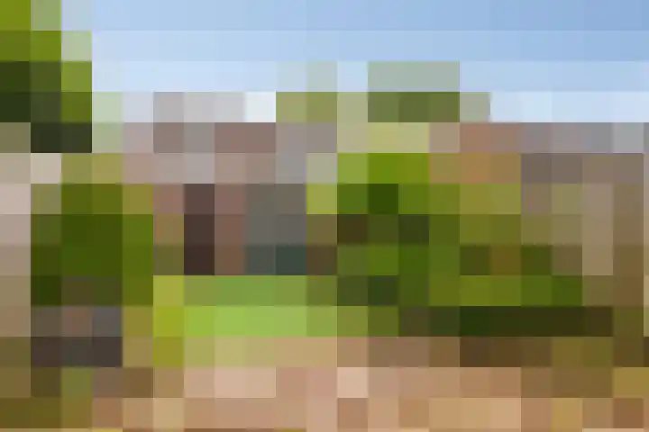 Walhoven 88 Zevenbergen thumbnail 24