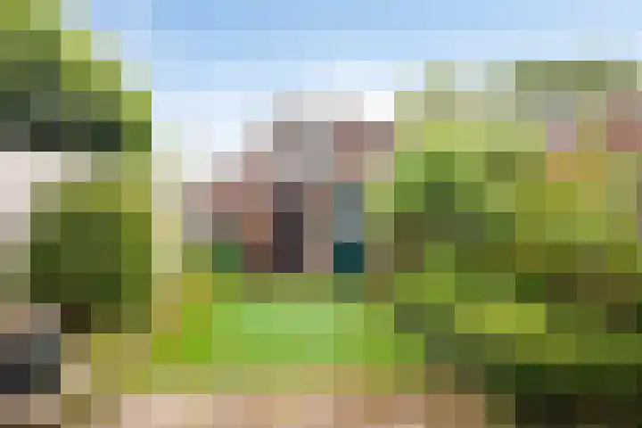 Walhoven 88 Zevenbergen thumbnail 25