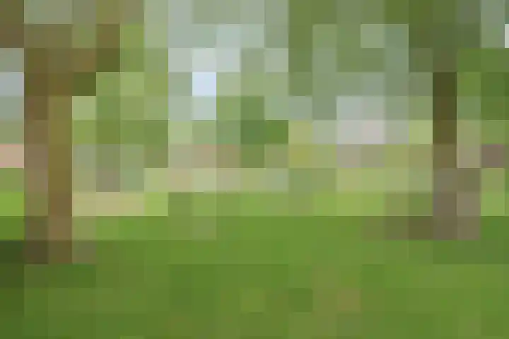 Walhoven 88 Zevenbergen thumbnail 26