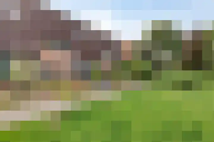 Walhoven 88 Zevenbergen thumbnail 27