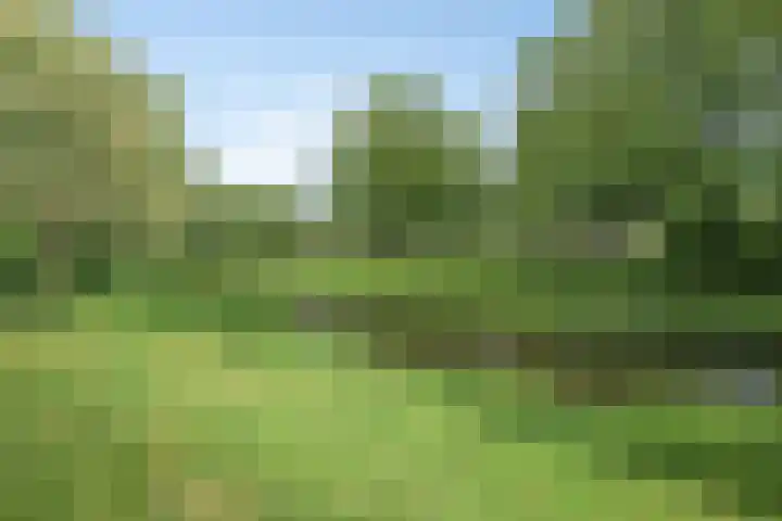 Walhoven 88 Zevenbergen thumbnail 4