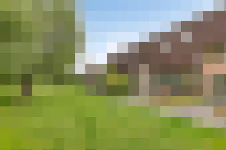 Walhoven 88 Zevenbergen thumbnail 5