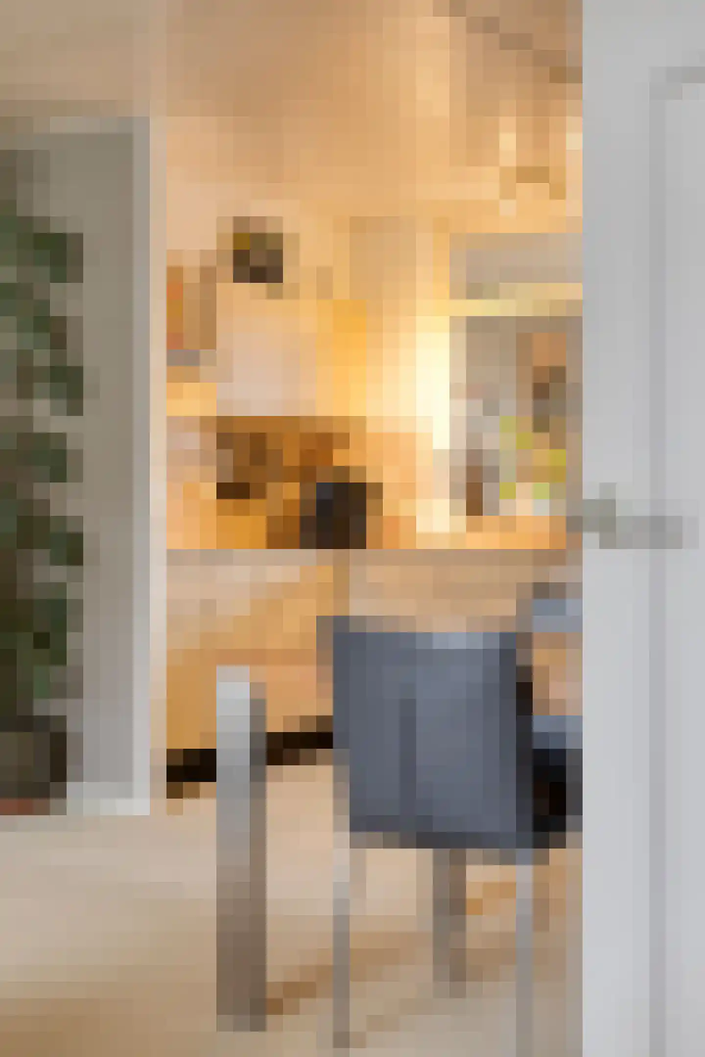 Waliënsestraat 123 Winterswijk thumbnail 5