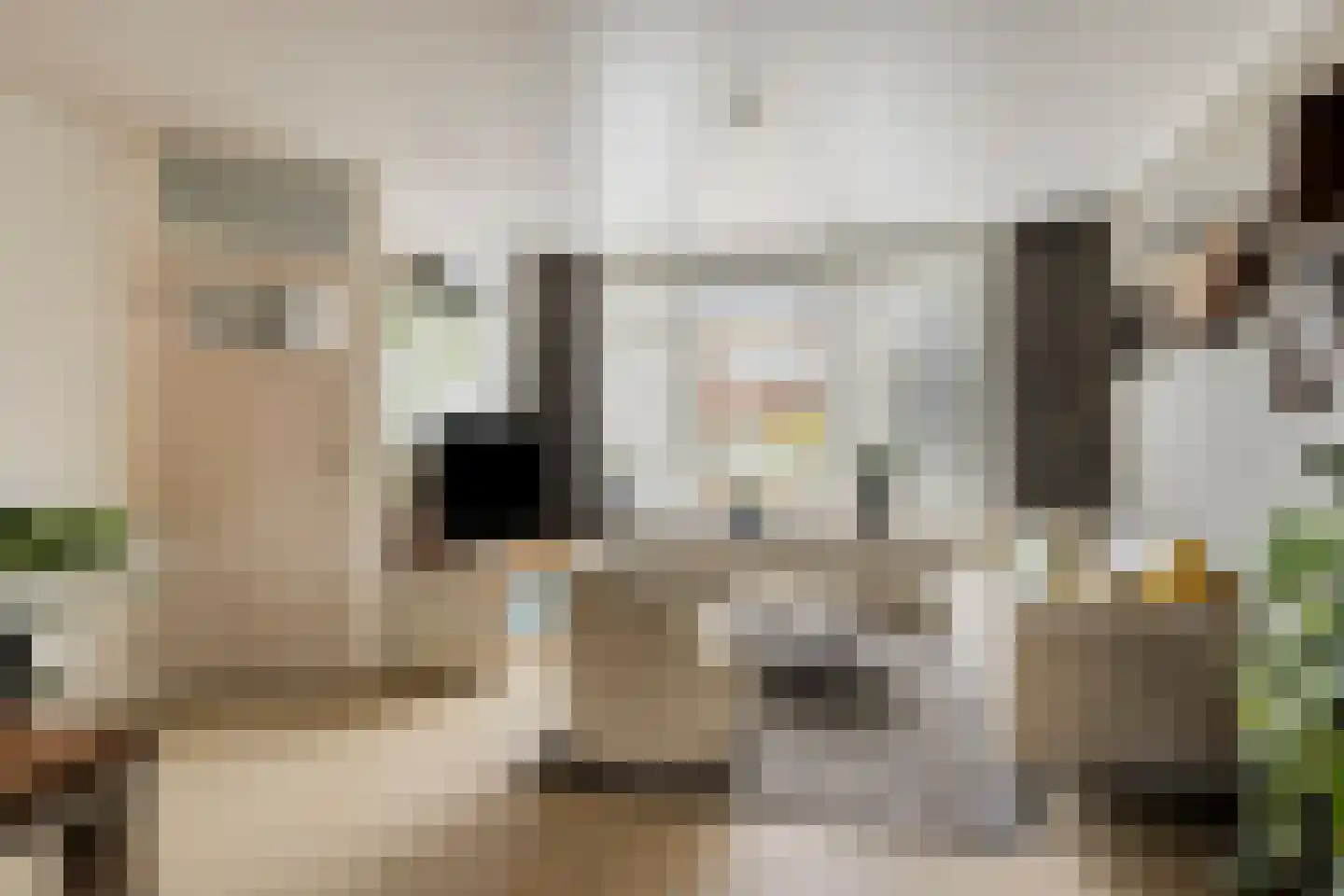 Waliënsestraat 123 Winterswijk thumbnail 6