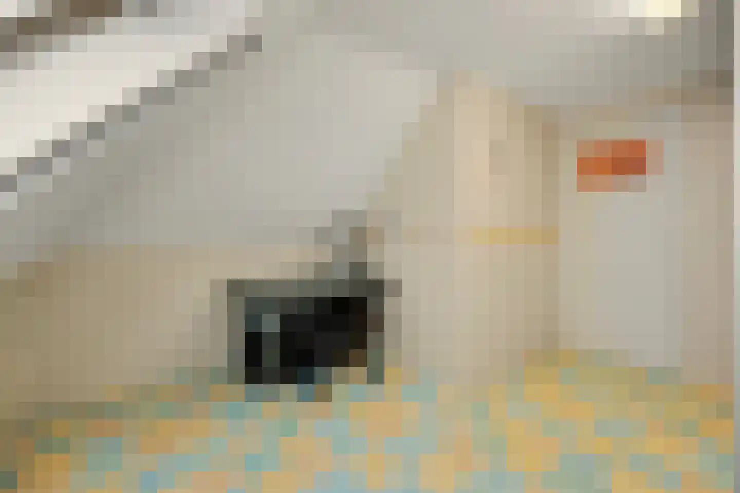 Waliënsestraat 16 Winterswijk thumbnail 38