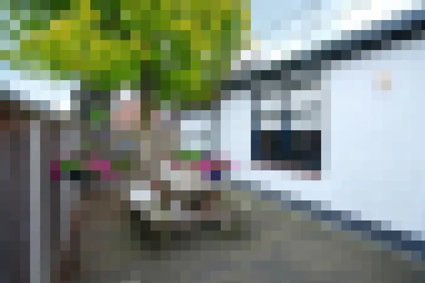 Waliënsestraat 20 Winterswijk thumbnail 24