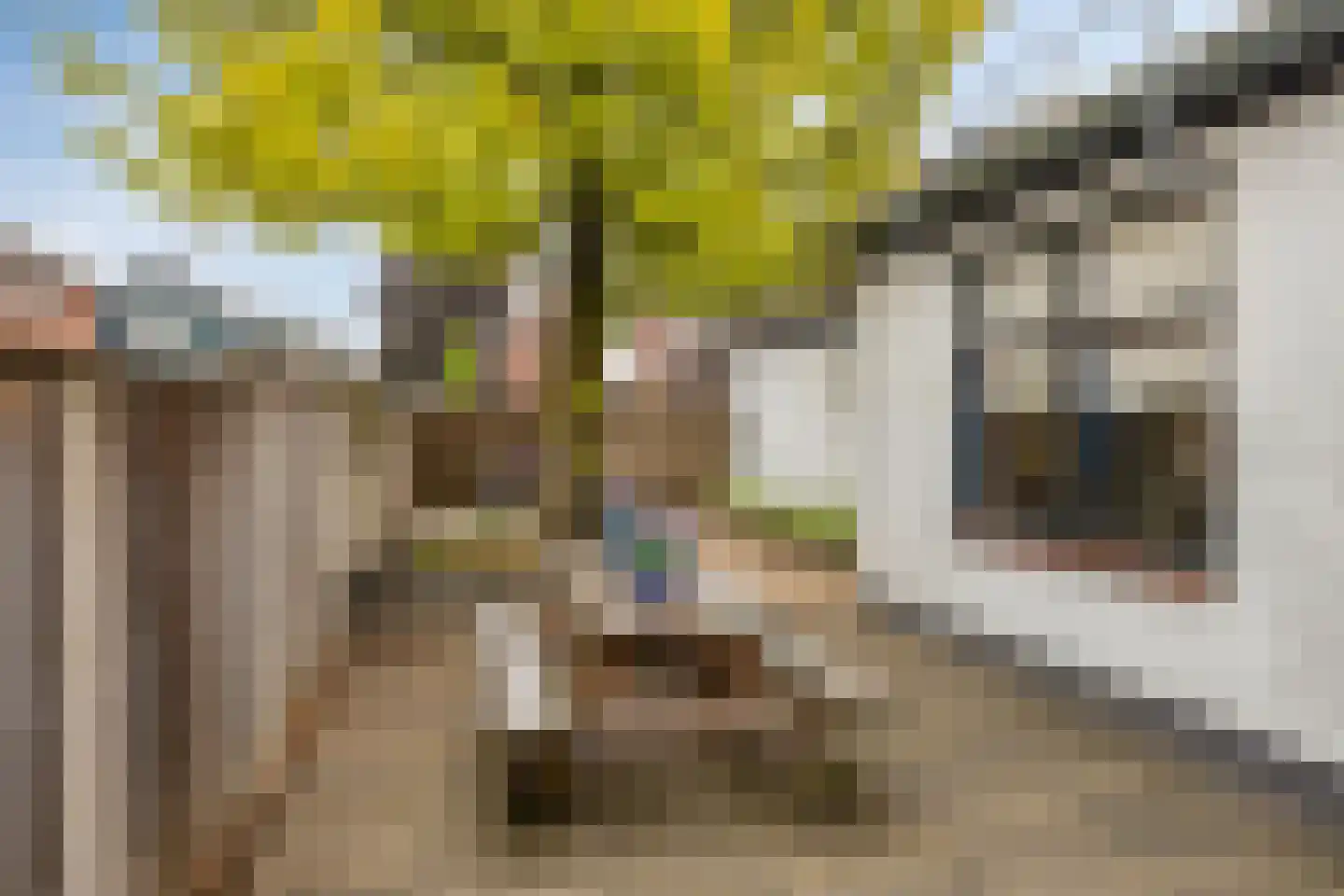 Waliënsestraat 20 Winterswijk thumbnail 38